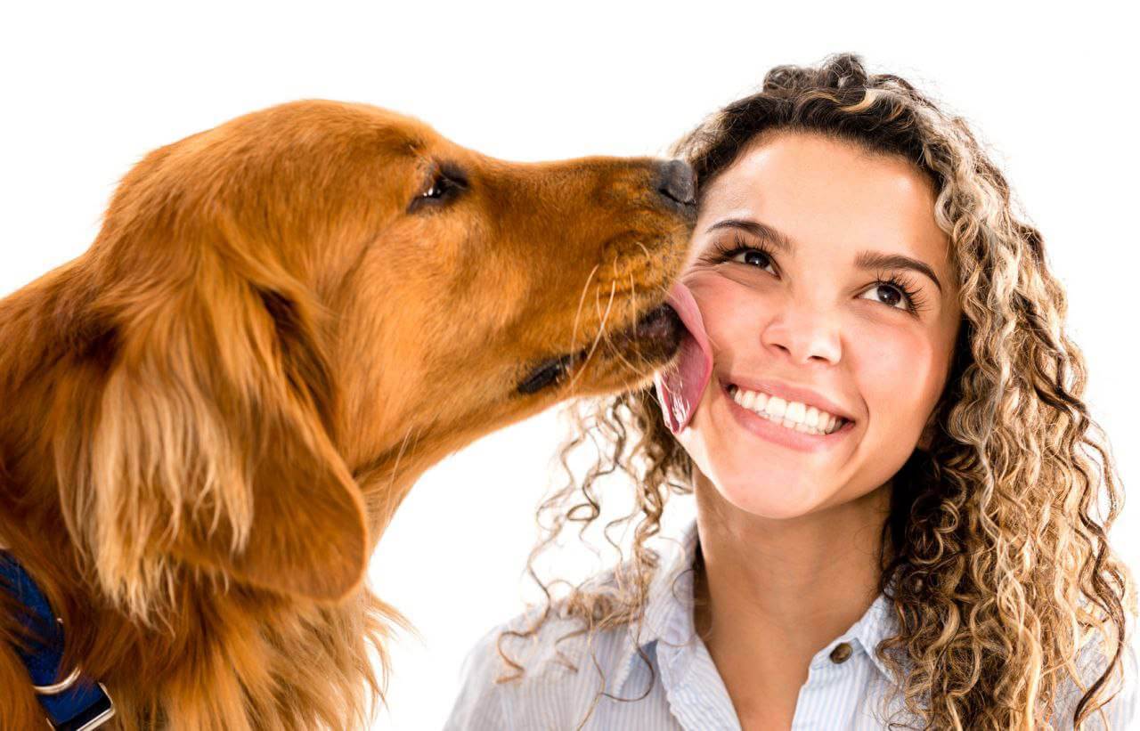 Un cucciolo di cane lecca la sua padrona sorridente | Perché il cane ci lecca
